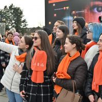 16 zile de activism împotriva violenței de gen